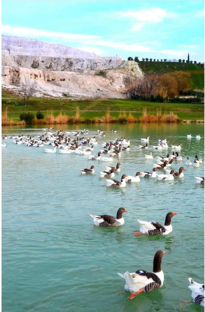 Hotel Akapella Pamukkale Exteriér fotografie